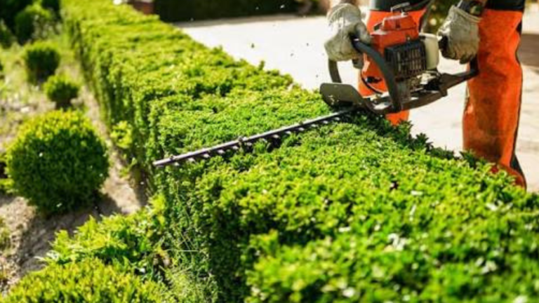 gartenpflege_demo_2